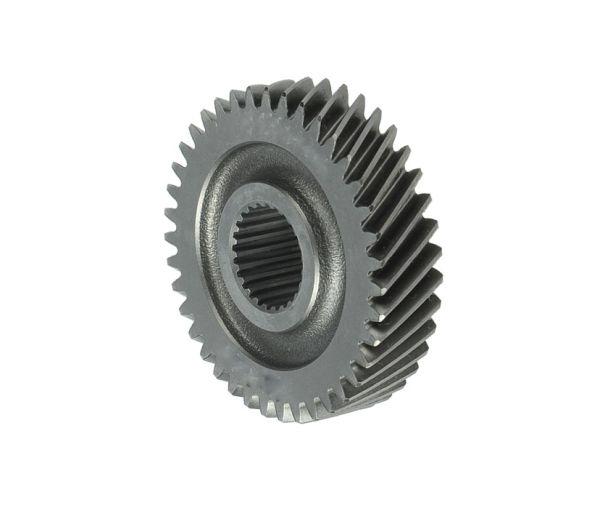 Ko�O Z�Bate 5 Bieg 39 T.