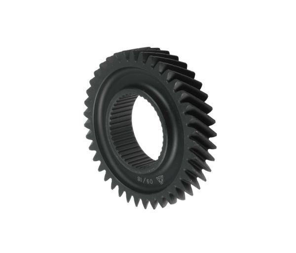 Ko�O Z�Bate 5 Bieg 39 T.