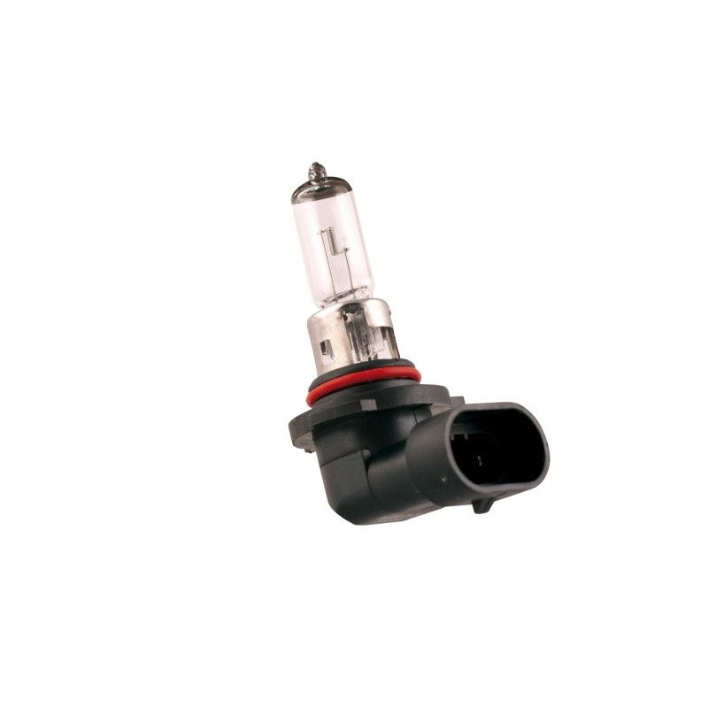 Bec halogen HB4 12V 55W